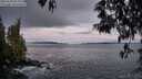 ./images/koeye/fitz-hugh/20250504/fitz-hugh20250504_055009M.jpg