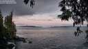 ./images/koeye/fitz-hugh/20250504/fitz-hugh20250504_055509M.jpg