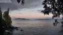 ./images/koeye/fitz-hugh/20250504/fitz-hugh20250504_060010M.jpg