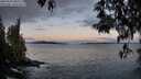 ./images/koeye/fitz-hugh/20250504/fitz-hugh20250504_060509M.jpg