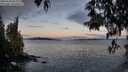 ./images/koeye/fitz-hugh/20250504/fitz-hugh20250504_061009M.jpg