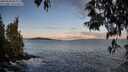 ./images/koeye/fitz-hugh/20250504/fitz-hugh20250504_063510M.jpg