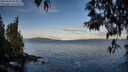 ./images/koeye/fitz-hugh/20250504/fitz-hugh20250504_071010M.jpg