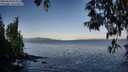 ./images/koeye/fitz-hugh/20250504/fitz-hugh20250504_073510M.jpg