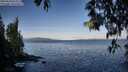 ./images/koeye/fitz-hugh/20250504/fitz-hugh20250504_075510M.jpg