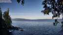 ./images/koeye/fitz-hugh/20250504/fitz-hugh20250504_080510M.jpg