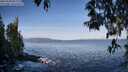 ./images/koeye/fitz-hugh/20250504/fitz-hugh20250504_081509M.jpg