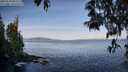 ./images/koeye/fitz-hugh/20250504/fitz-hugh20250504_082509M.jpg