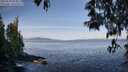 ./images/koeye/fitz-hugh/20250504/fitz-hugh20250504_083011M.jpg