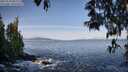 ./images/koeye/fitz-hugh/20250504/fitz-hugh20250504_083510M.jpg