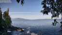 ./images/koeye/fitz-hugh/20250504/fitz-hugh20250504_084011M.jpg