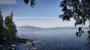 ./images/koeye/fitz-hugh/20250504/fitz-hugh20250504_084511M.jpg