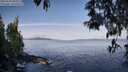 ./images/koeye/fitz-hugh/20250504/fitz-hugh20250504_085010M.jpg