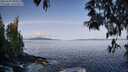 ./images/koeye/fitz-hugh/20250504/fitz-hugh20250504_090011M.jpg