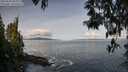 ./images/koeye/fitz-hugh/20250504/fitz-hugh20250504_095010M.jpg