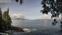 ./images/koeye/fitz-hugh/20250504/fitz-hugh20250504_100011M.jpg