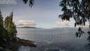 ./images/koeye/fitz-hugh/20250504/fitz-hugh20250504_100509M.jpg