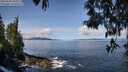 ./images/koeye/fitz-hugh/20250504/fitz-hugh20250504_105009M.jpg