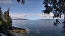 ./images/koeye/fitz-hugh/20250504/fitz-hugh20250504_110011M.jpg