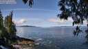 ./images/koeye/fitz-hugh/20250504/fitz-hugh20250504_111511M.jpg