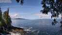 ./images/koeye/fitz-hugh/20250504/fitz-hugh20250504_112010M.jpg