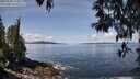 ./images/koeye/fitz-hugh/20250504/fitz-hugh20250504_114511M.jpg