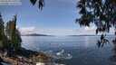 ./images/koeye/fitz-hugh/20250504/fitz-hugh20250504_115510M.jpg