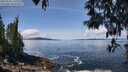 ./images/koeye/fitz-hugh/20250504/fitz-hugh20250504_120509M.jpg