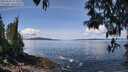 ./images/koeye/fitz-hugh/20250504/fitz-hugh20250504_121009M.jpg