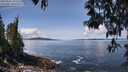 ./images/koeye/fitz-hugh/20250504/fitz-hugh20250504_121511M.jpg