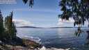 ./images/koeye/fitz-hugh/20250504/fitz-hugh20250504_125008M.jpg