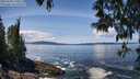 ./images/koeye/fitz-hugh/20250504/fitz-hugh20250504_130011M.jpg