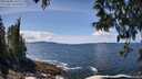 ./images/koeye/fitz-hugh/20250504/fitz-hugh20250504_131511M.jpg