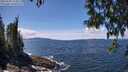 ./images/koeye/fitz-hugh/20250504/fitz-hugh20250504_133011M.jpg