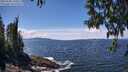 ./images/koeye/fitz-hugh/20250504/fitz-hugh20250504_134010M.jpg