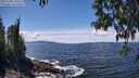 ./images/koeye/fitz-hugh/20250504/fitz-hugh20250504_134510M.jpg