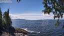 ./images/koeye/fitz-hugh/20250504/fitz-hugh20250504_135008M.jpg