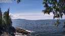 ./images/koeye/fitz-hugh/20250504/fitz-hugh20250504_135508M.jpg
