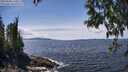 ./images/koeye/fitz-hugh/20250504/fitz-hugh20250504_140011M.jpg