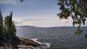 ./images/koeye/fitz-hugh/20250504/fitz-hugh20250504_140508M.jpg