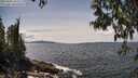 ./images/koeye/fitz-hugh/20250504/fitz-hugh20250504_141010M.jpg
