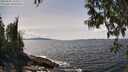 ./images/koeye/fitz-hugh/20250504/fitz-hugh20250504_142510M.jpg
