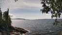./images/koeye/fitz-hugh/20250504/fitz-hugh20250504_145009M.jpg
