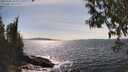 ./images/koeye/fitz-hugh/20250504/fitz-hugh20250504_154511M.jpg