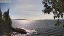 ./images/koeye/fitz-hugh/20250504/fitz-hugh20250504_155011M.jpg