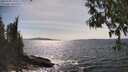 ./images/koeye/fitz-hugh/20250504/fitz-hugh20250504_155511M.jpg