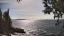 ./images/koeye/fitz-hugh/20250504/fitz-hugh20250504_160510M.jpg