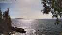 ./images/koeye/fitz-hugh/20250504/fitz-hugh20250504_161510M.jpg