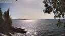 ./images/koeye/fitz-hugh/20250504/fitz-hugh20250504_162010M.jpg