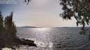 ./images/koeye/fitz-hugh/20250504/fitz-hugh20250504_162510M.jpg